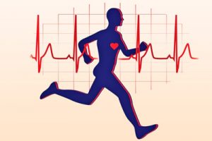 Польза физической нагрузки для сердечной мышцы